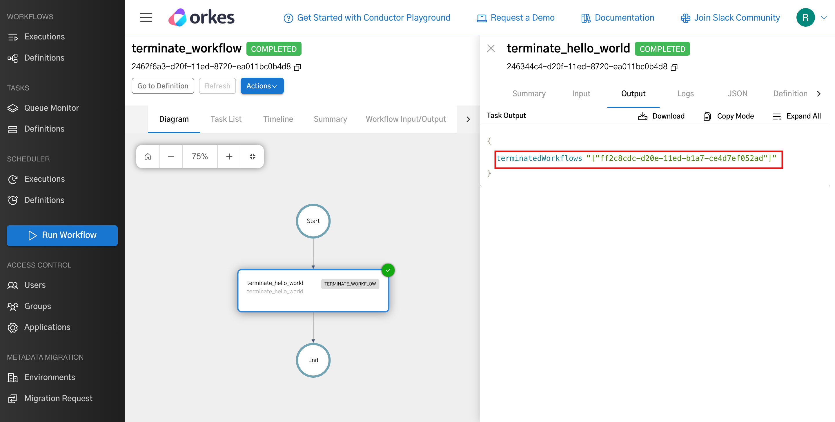 Terminate Workflow - Successful execution